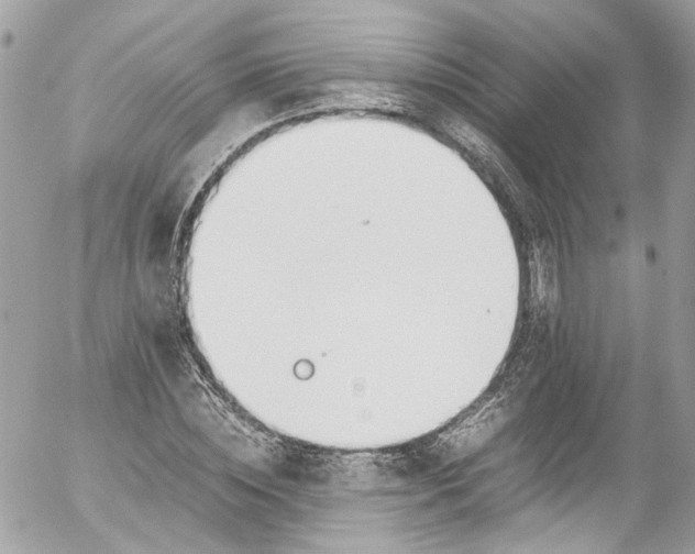 X0000052550828200507221449