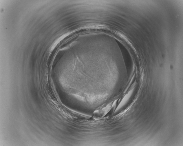 X0000052550829200507221449