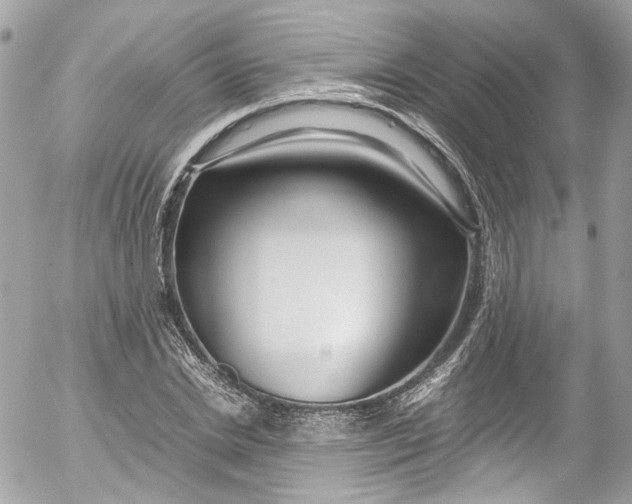 X0000052550830200507221449