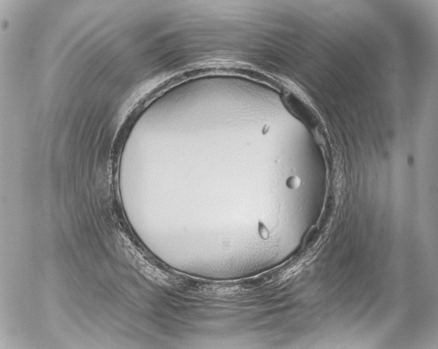 X0000052550831200507221449