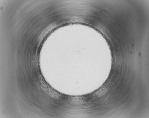 X0000052550832200507221449