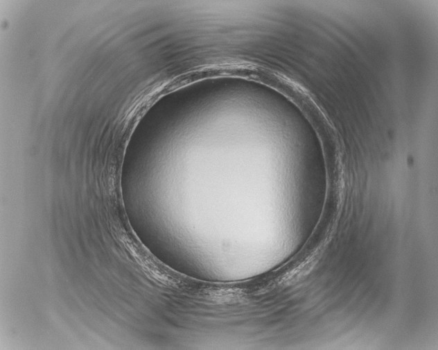 X0000052550833200507221449