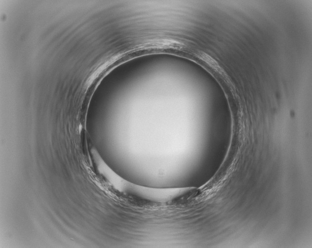 X0000052550834200507221449