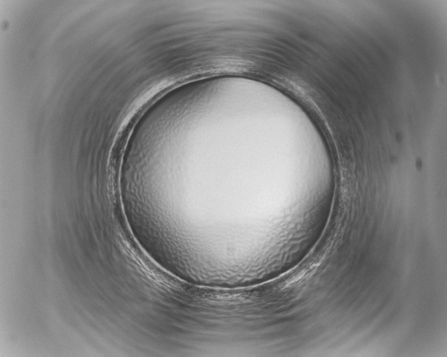 X0000052550835200507221449