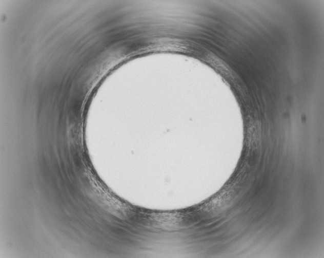 X0000052550836200507221449