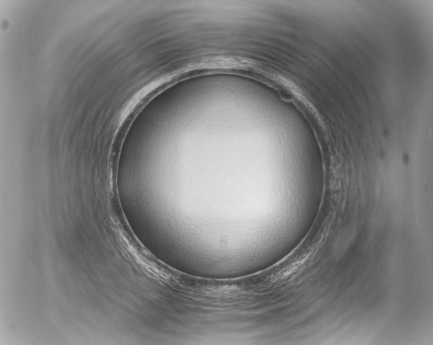 X0000052550837200507221449