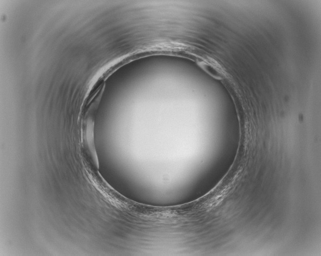 X0000052550838200507221449