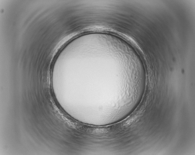 X0000052550839200507221449