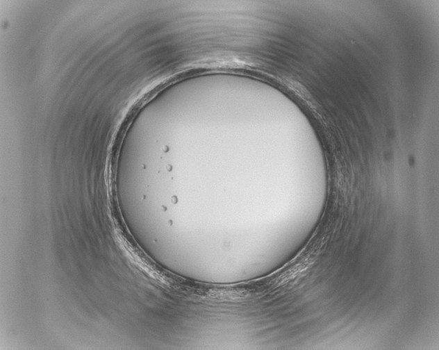 X0000052550840200507221449