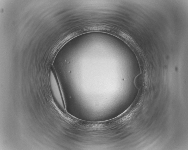 X0000052550841200507221449