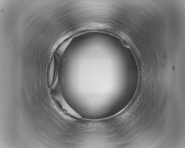 X0000052550842200507221449