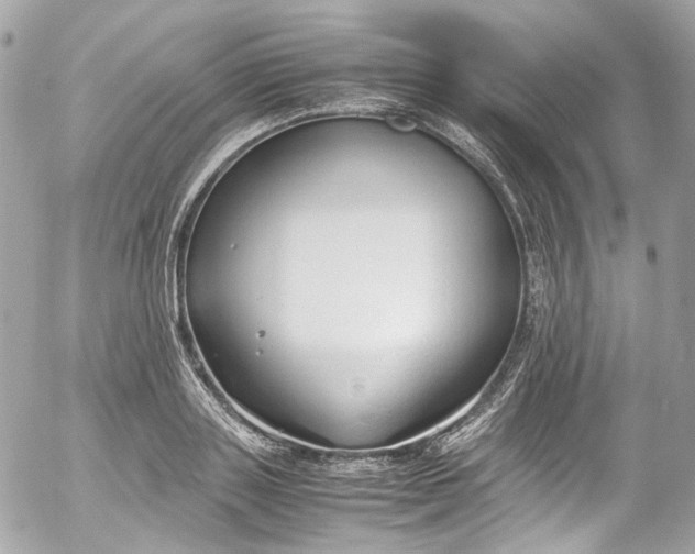 X0000052550843200507221449