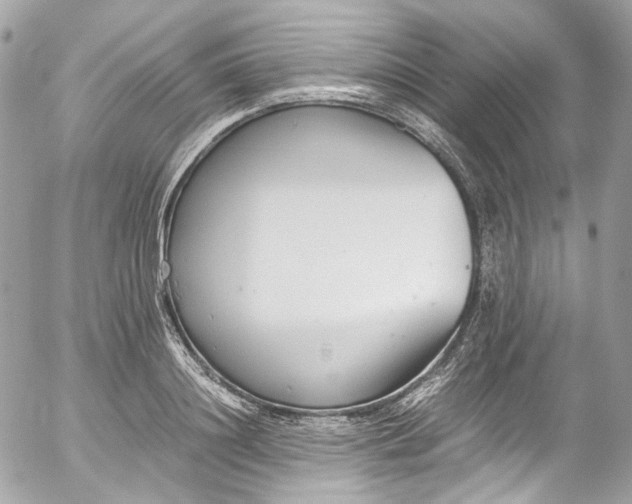 X0000052550844200507221449