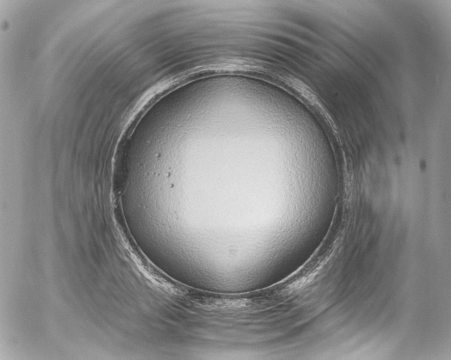 X0000052550845200507221449