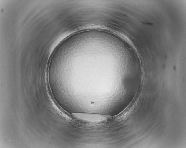 X0000052550847200507221449