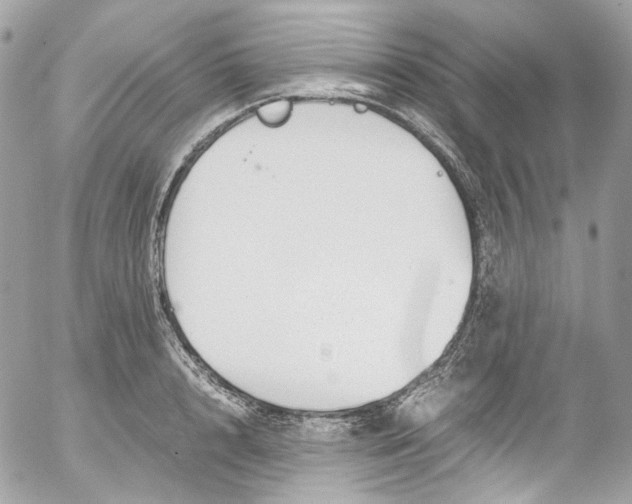 X0000052550848200507221449