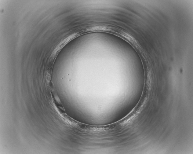 X0000052550849200507221449