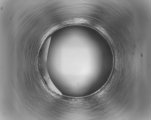 X0000052550850200507221449