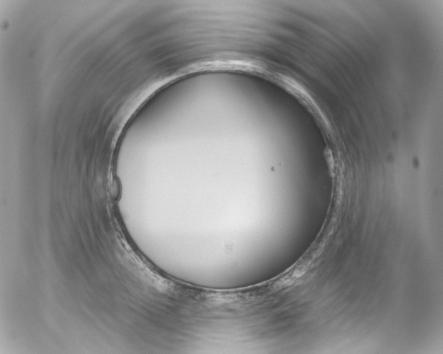 X0000052550852200507221449