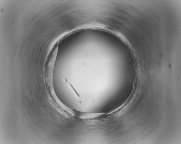 X0000052550854200507221449