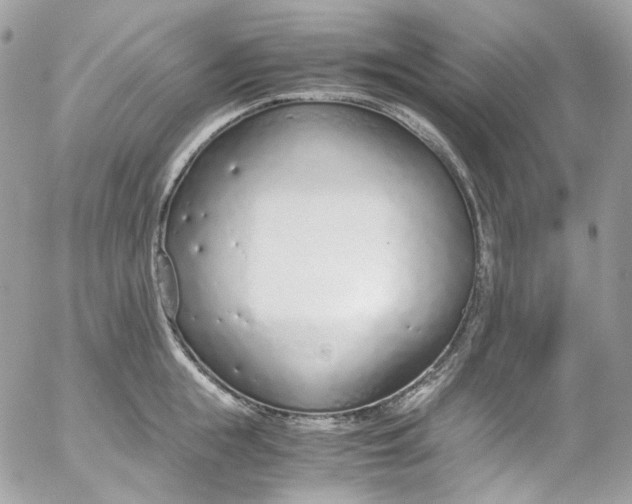 X0000052550855200507221449