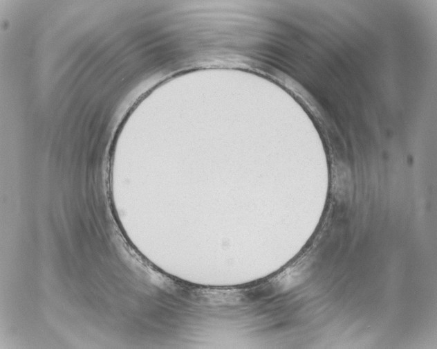 X0000052550856200507221449