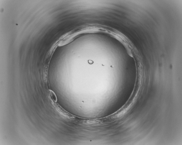 X0000052550857200507221449