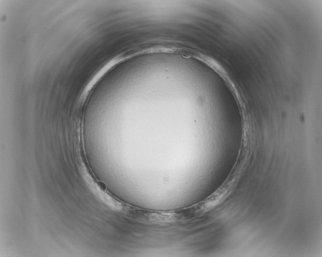 X0000052550859200507221449