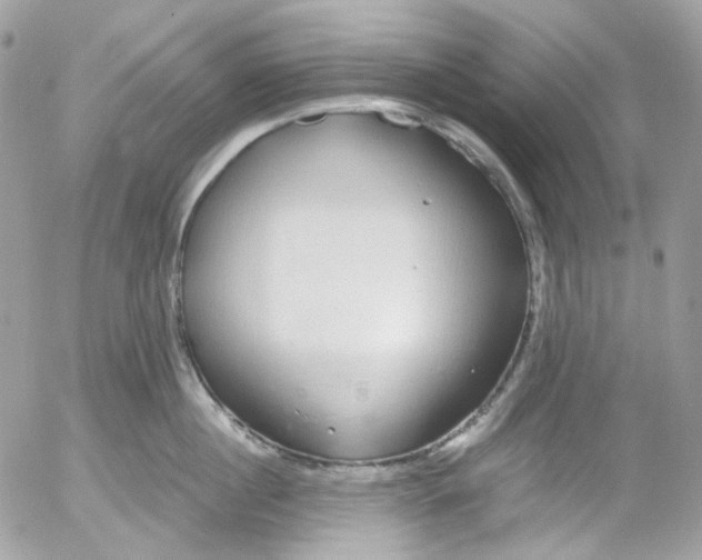 X0000052550860200507221449