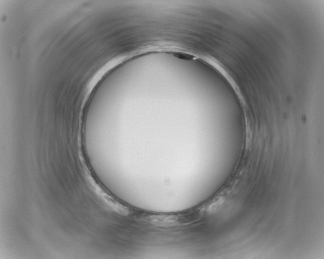 X0000052550861200507221449