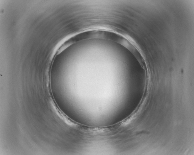 X0000052550862200507221449