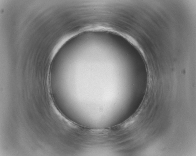 X0000052550863200507221449