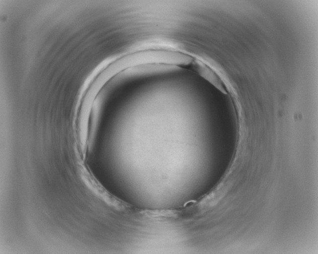 X0000052550864200507221449