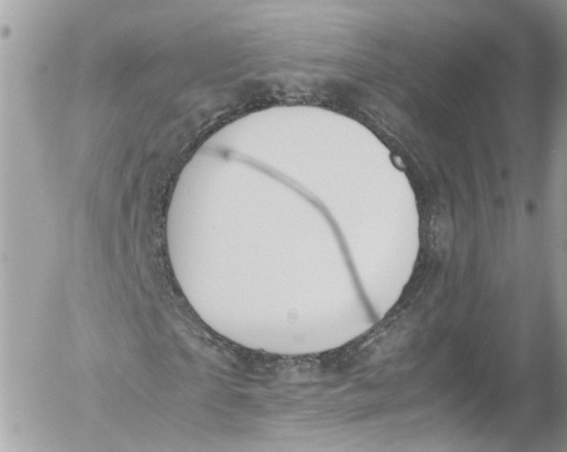 X0000052550865200507221448