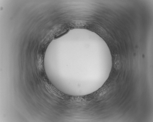 X0000052550866200507221448