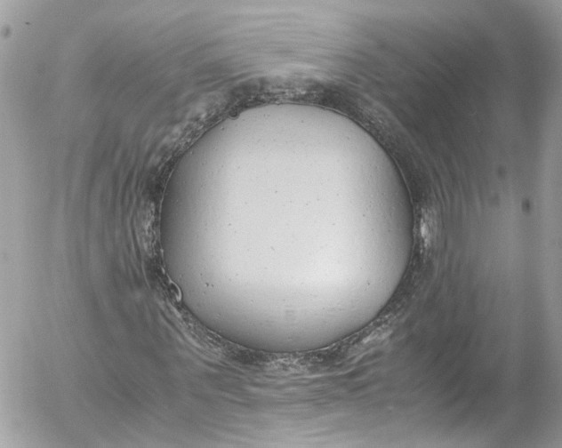 X0000052550867200507221448