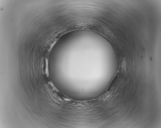 X0000052550868200507221448