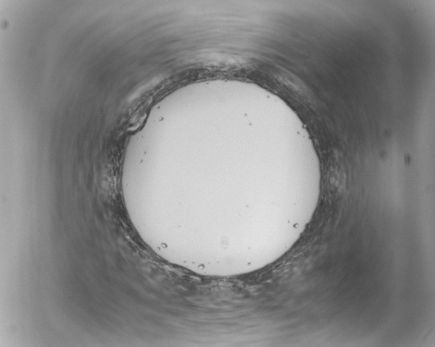 X0000052550869200507221448