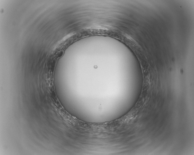 X0000052550870200507221448