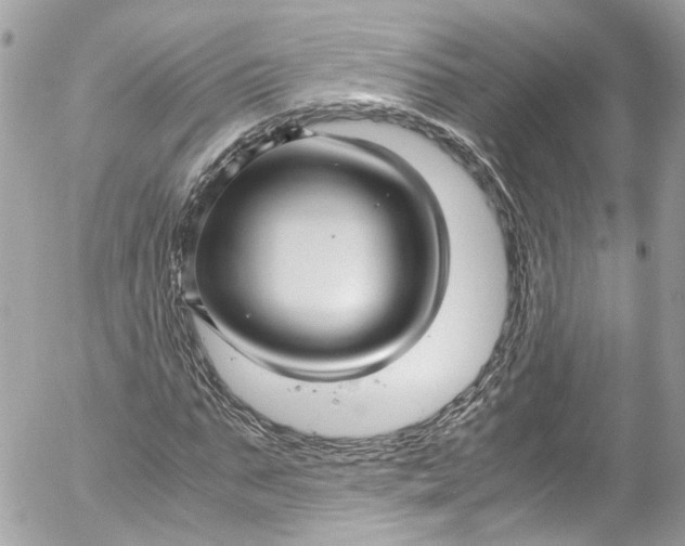 X0000052550871200507221448