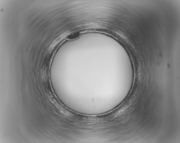 X0000052550873200507221448