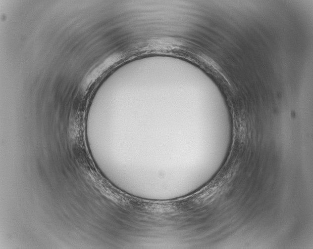 X0000052550874200507221448