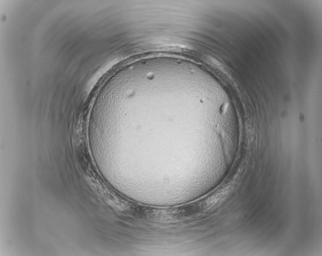 X0000052550875200507221448