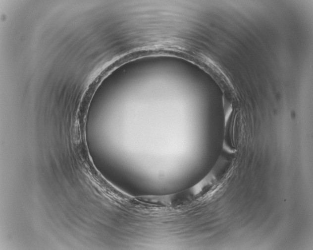 X0000052550876200507221448