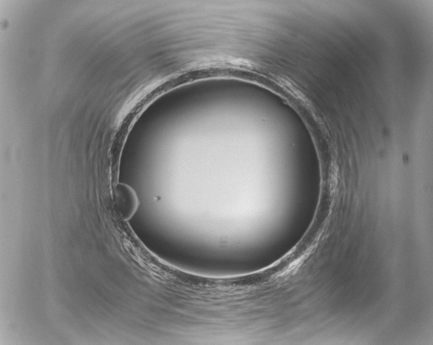 X0000052550877200507221448