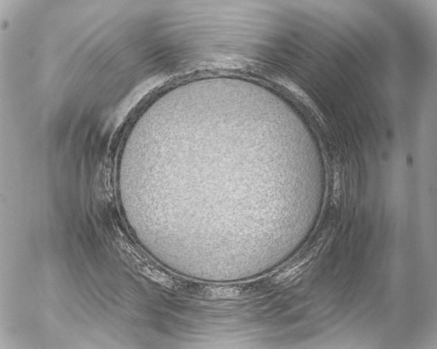 X0000052550878200507221448