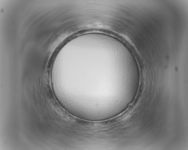 X0000052550879200507221448