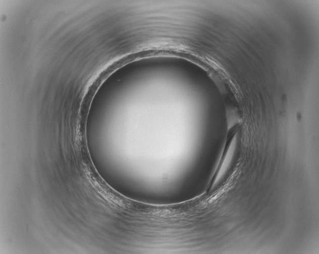 X0000052550880200507221448