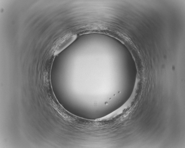 X0000052550881200507221448