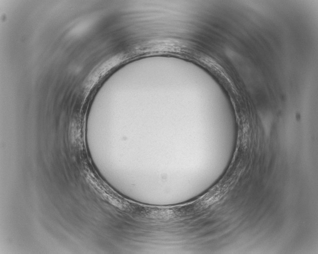 X0000052550882200507221448